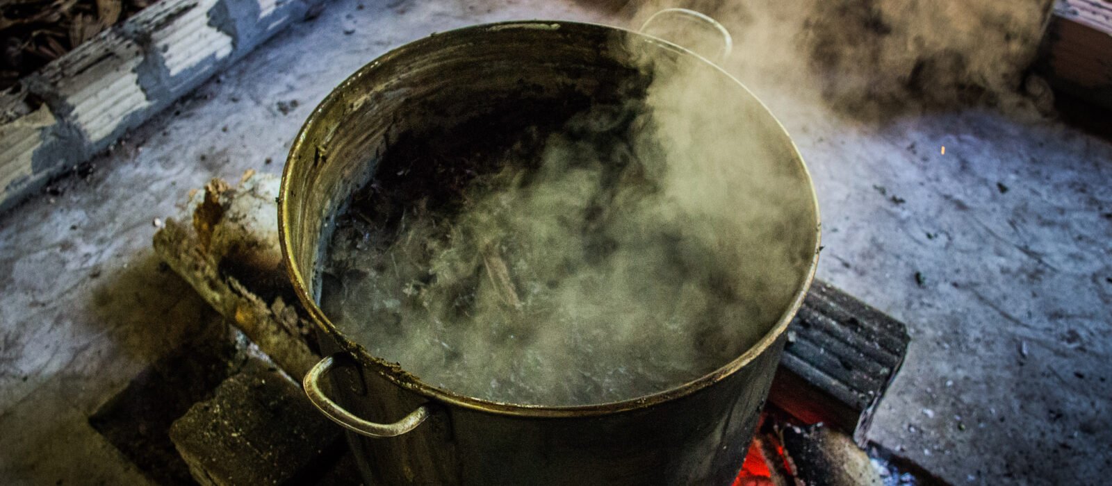 Estudio brasileño con 280 pacientes muestra que la ayahuasca reduce la depresión durante hasta seis meses