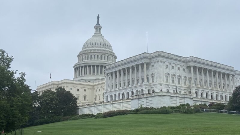 Casi 30 estados de EE.UU. debaten reformas sobre psicodélicos en 2026