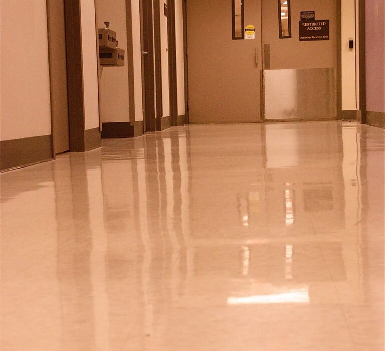El aumento del consumo de psicodélicos no disparó las visitas a urgencias, según un nuevo estudio