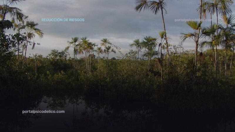 Selva amazónica, contexto de ceremonias de ayahuasca