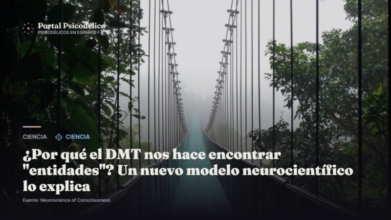 Modelo neurocientífico sobre encuentros con entidades bajo DMT