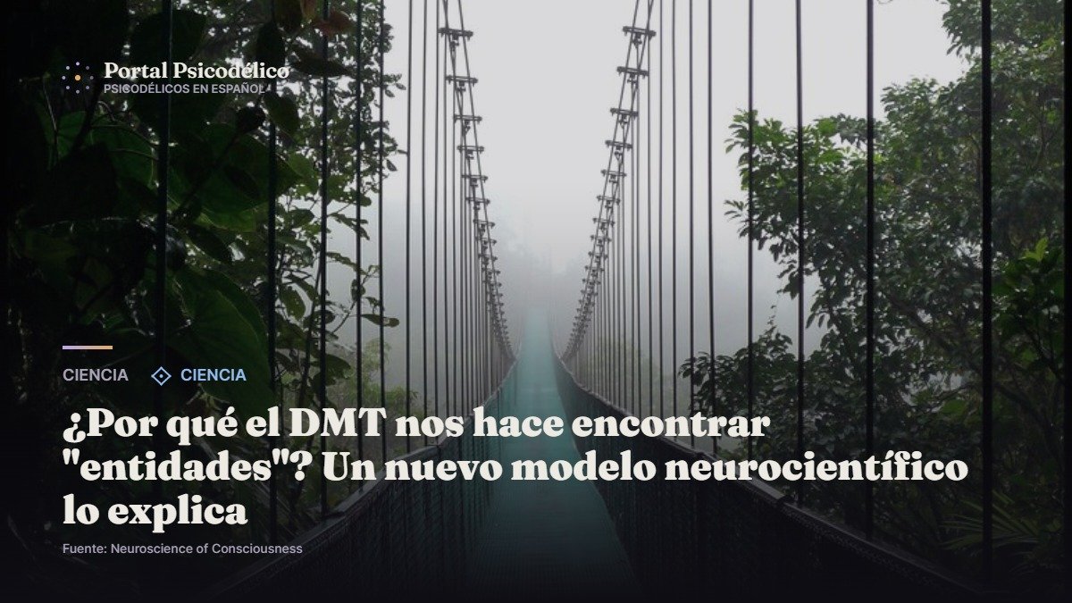Modelo neurocientífico sobre encuentros con entidades bajo DMT