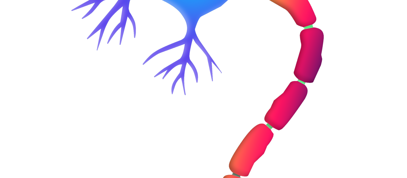 La psilocibina podría prevenir el daño nervioso que deja la quimioterapia