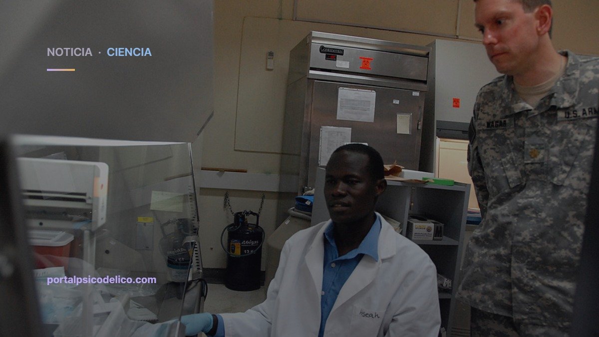 Sin viaje ni alucinaciones: la biotech Xylo prueba en humanos su psicodélico contra la depresión