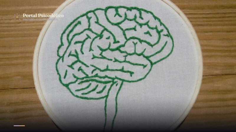 Microdosis de LSD y atención sostenida en mujeres