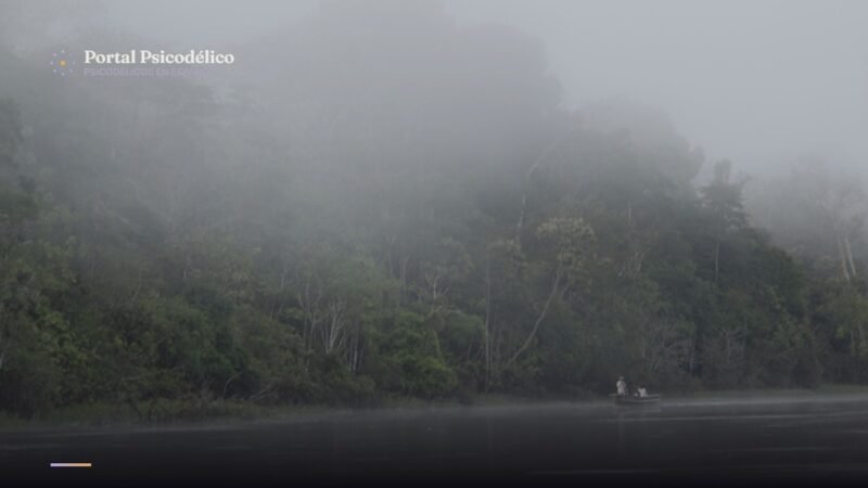 Selva amazónica peruana, paisaje que inspiró la obra de Pablo Amaringo