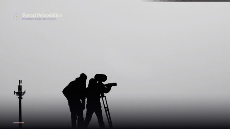 Documental Peaking sobre seis psicodélicos distintos
