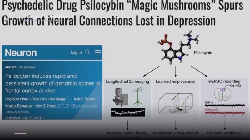 Psilocibina para la adicción a la cocaína y la depresión, ensayo clínico en Texas