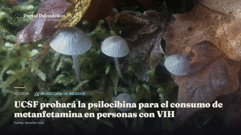 UCSF probará la psilocibina para el consumo de metanfetamina en personas con VIH